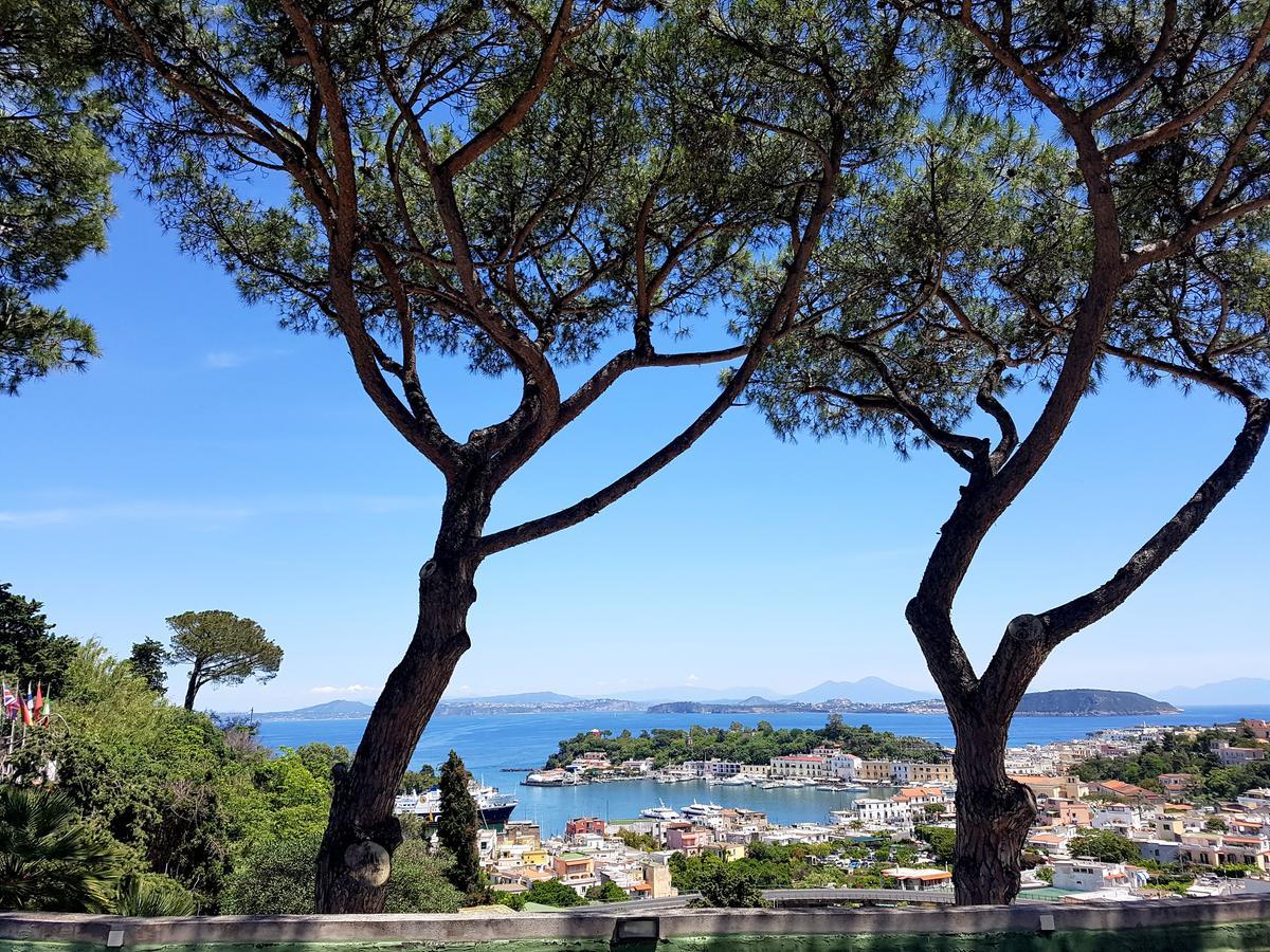 Ischia Dream Visions Apartman Kültér fotó