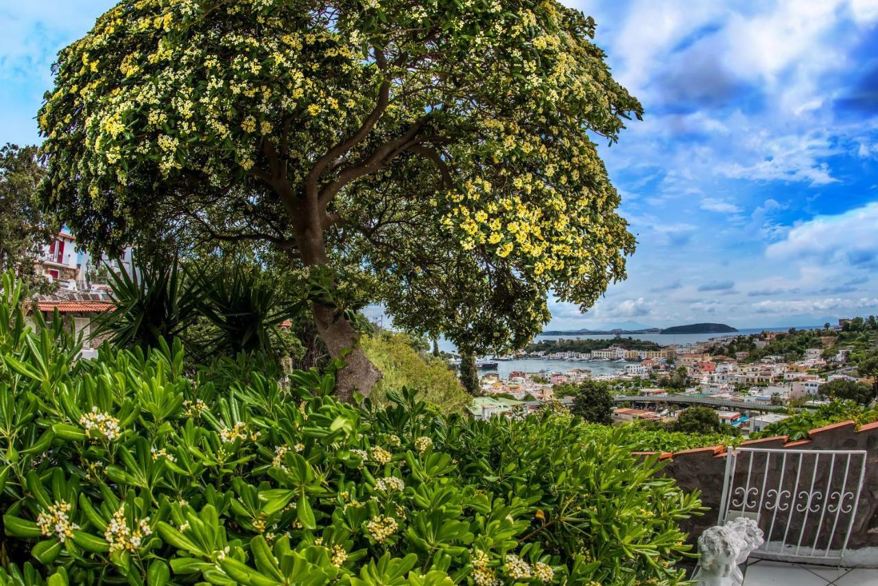 Ischia Dream Visions Apartman Kültér fotó